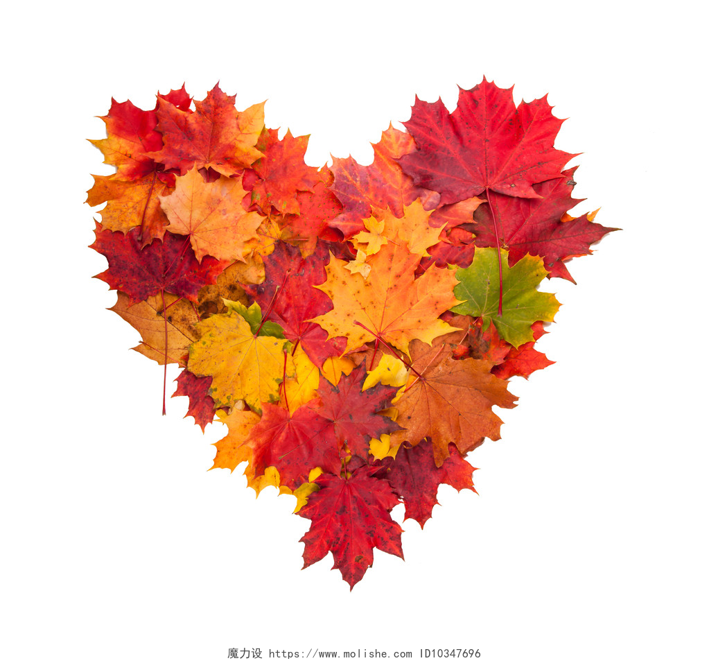 白色背景上一个树叶堆起来的爱心秋天的心